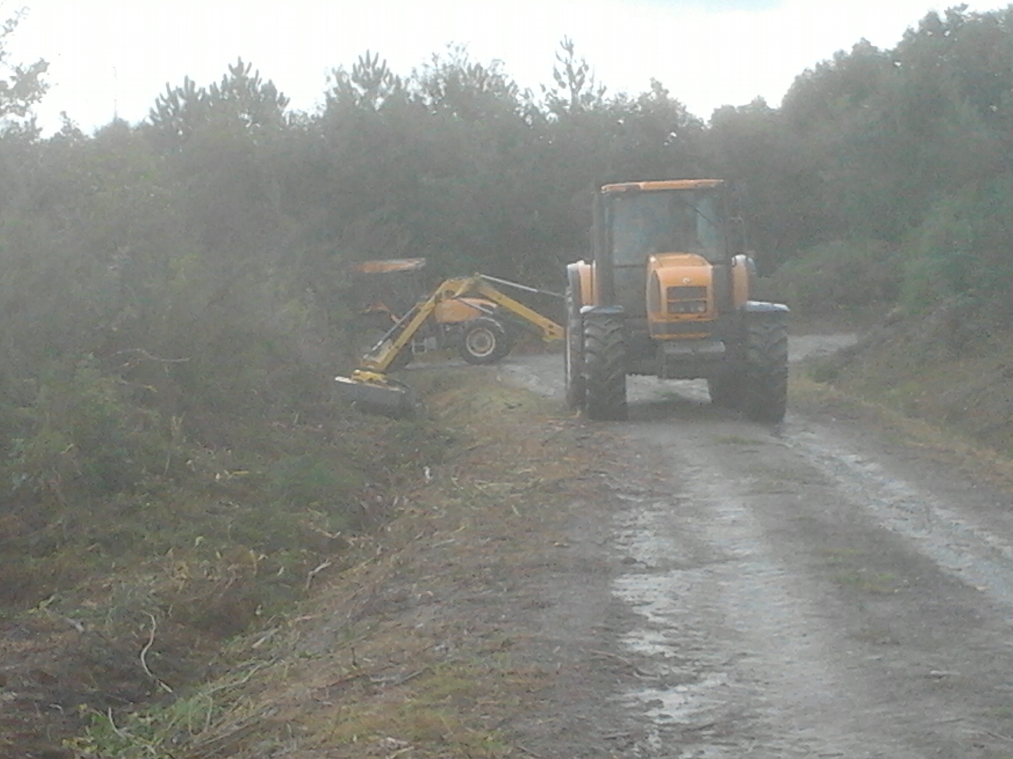 11. Desbroces 2013-10-03 17.54.04