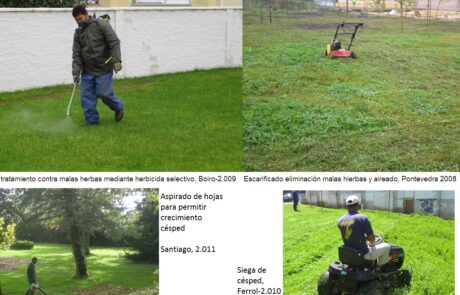 6hherbicidasselectivos